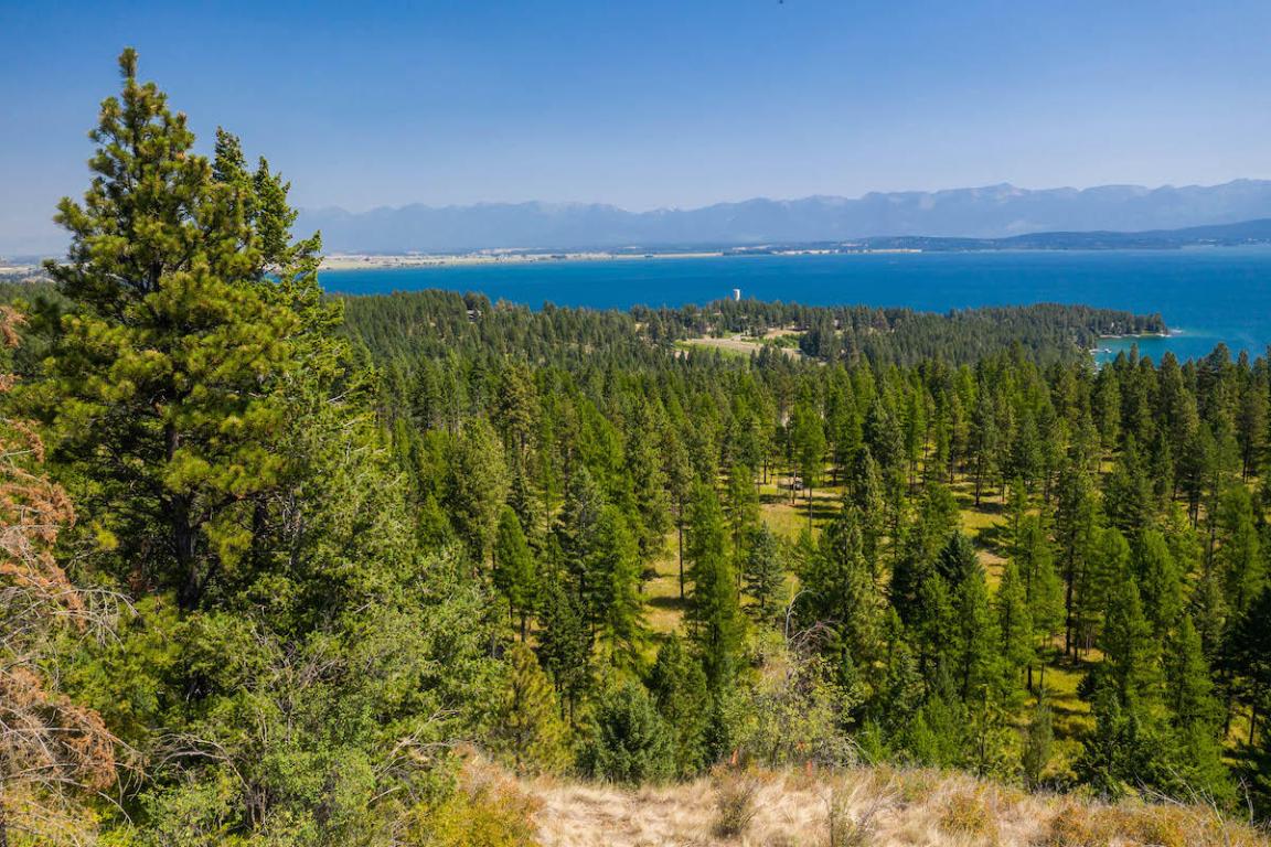 6870 Us Hwy 93 S Property Photo 20