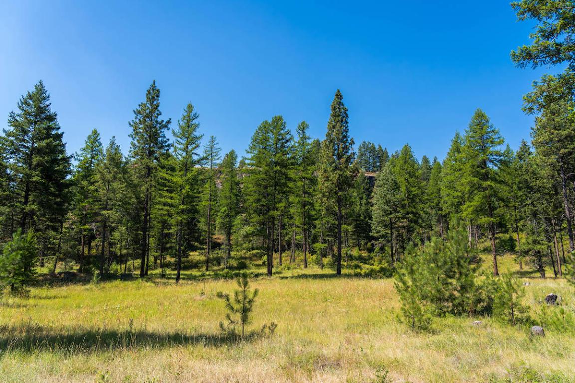 6870 Us Hwy 93 S Property Photo 24