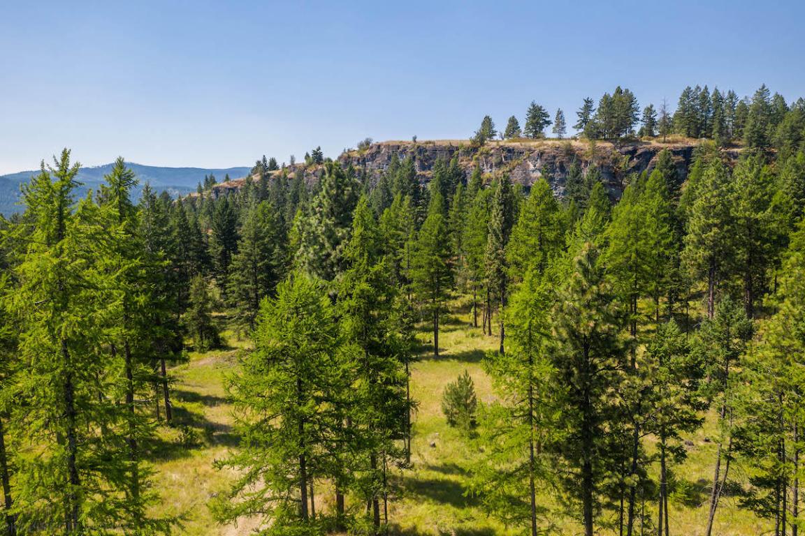 6870 Us Hwy 93 S Property Photo 26