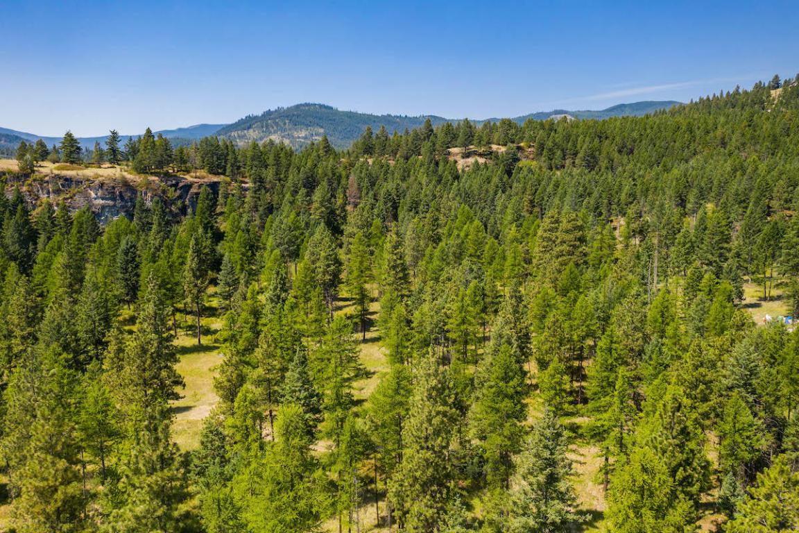 6870 Us Hwy 93 S Property Photo 31