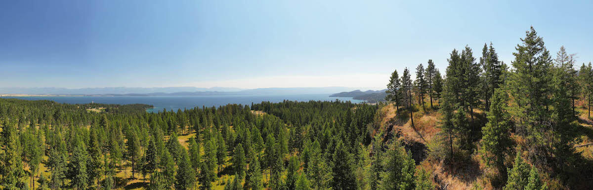 6870 Us Hwy 93 S Property Photo 55