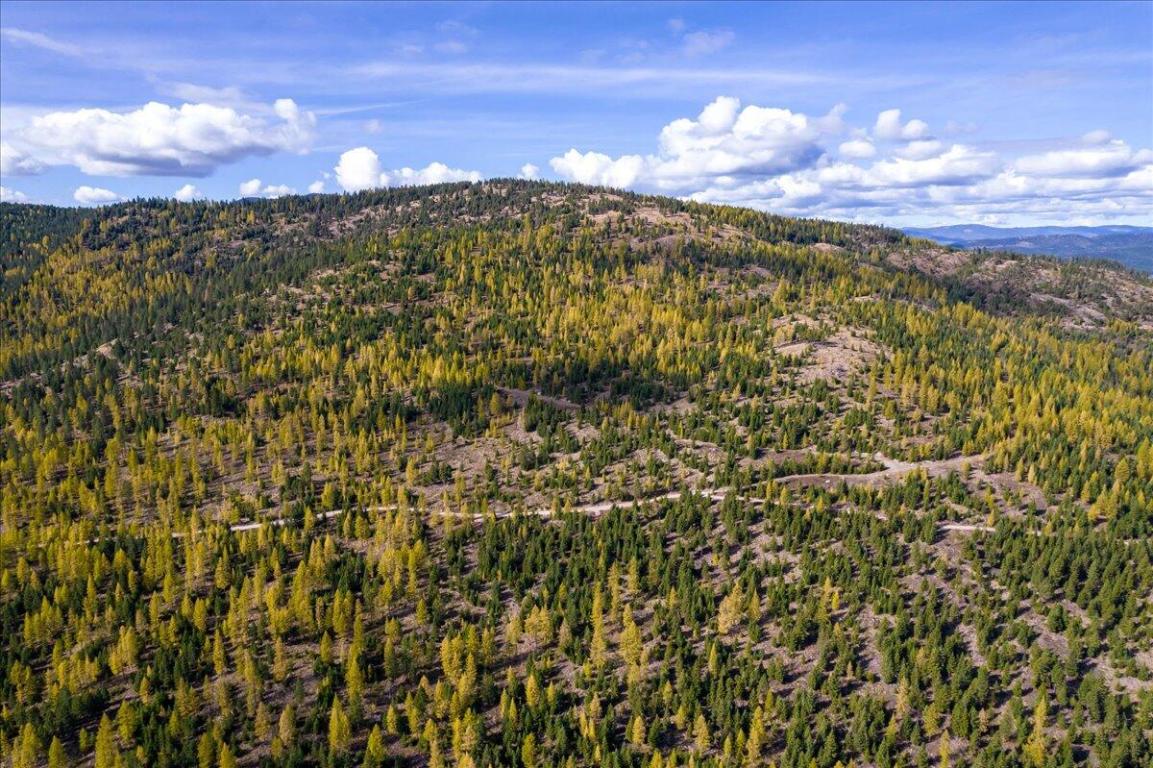 Lot 1 Wild Bill Reserve Property Photo 5