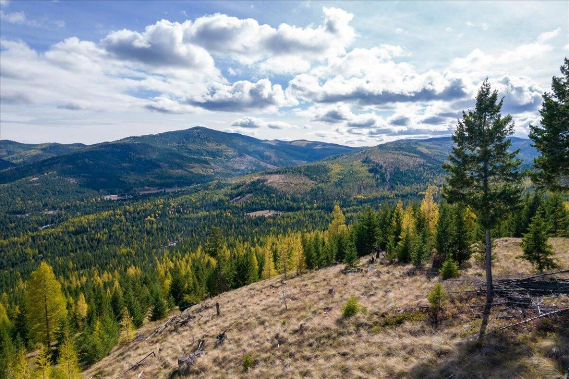 Lot 1 Wild Bill Reserve Property Photo 14