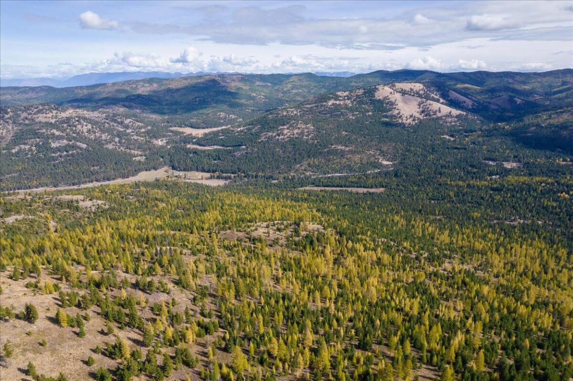 Lot 1 Wild Bill Reserve Property Photo 23