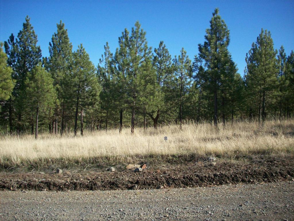 Lot 24 Leiber Lane Property Photo