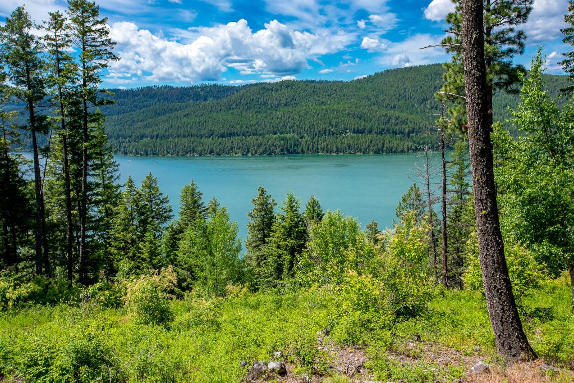 362 Mule Deer Trail Property Photo 2