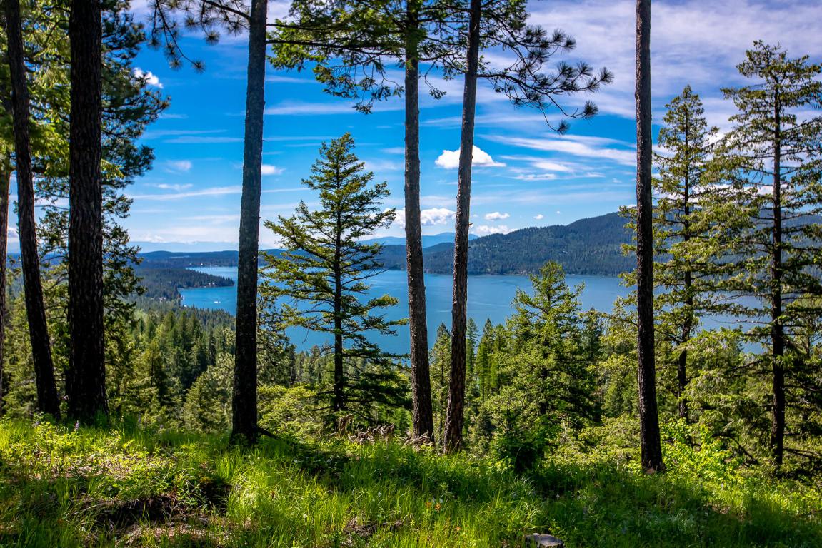 362 Mule Deer Trail Property Photo 3