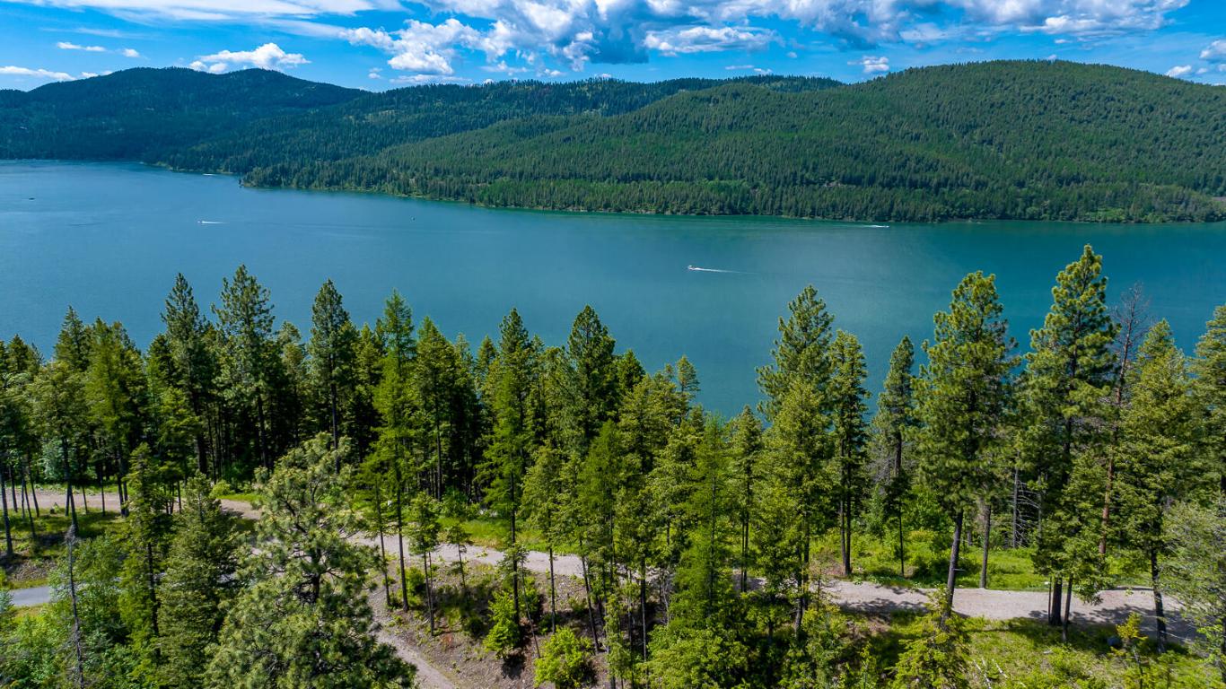 362 Mule Deer Trail Property Photo 5
