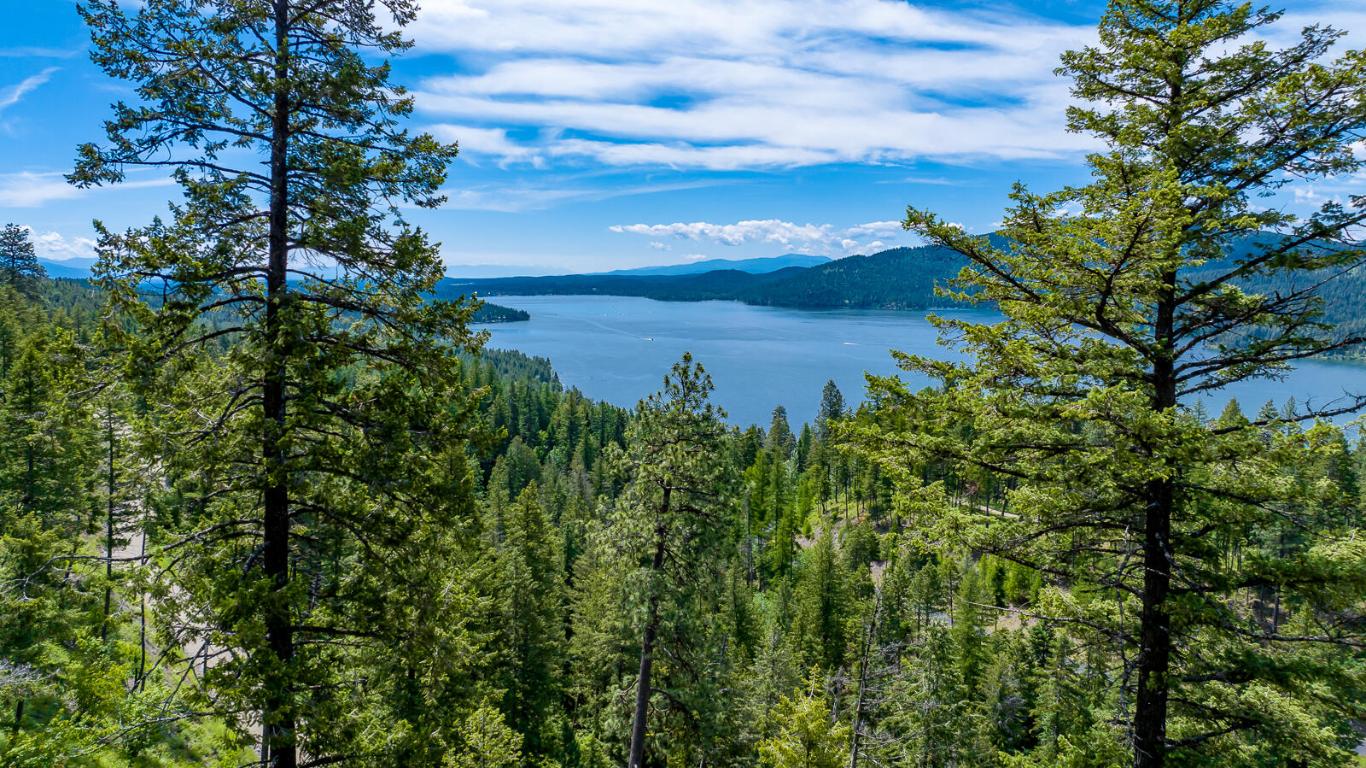 362 Mule Deer Trail Property Photo 6