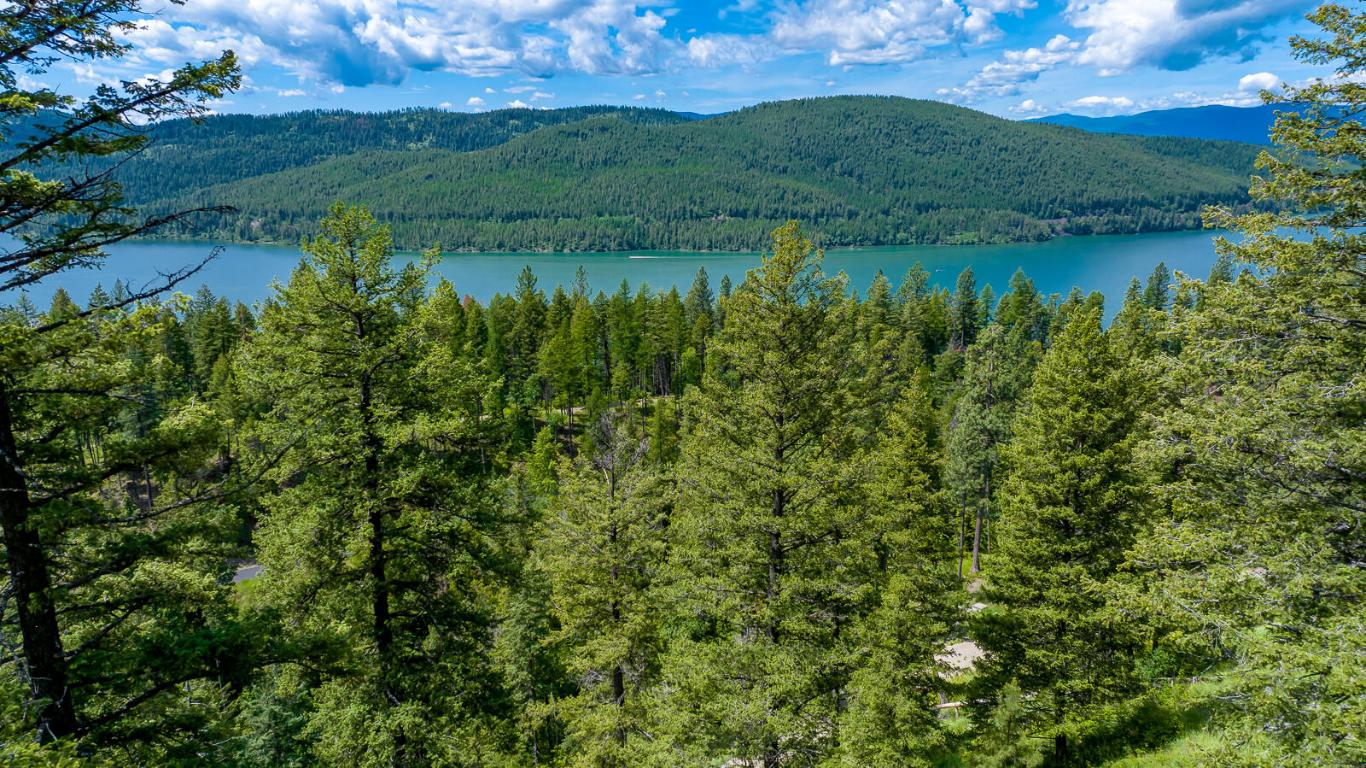 362 Mule Deer Trail Property Photo 7