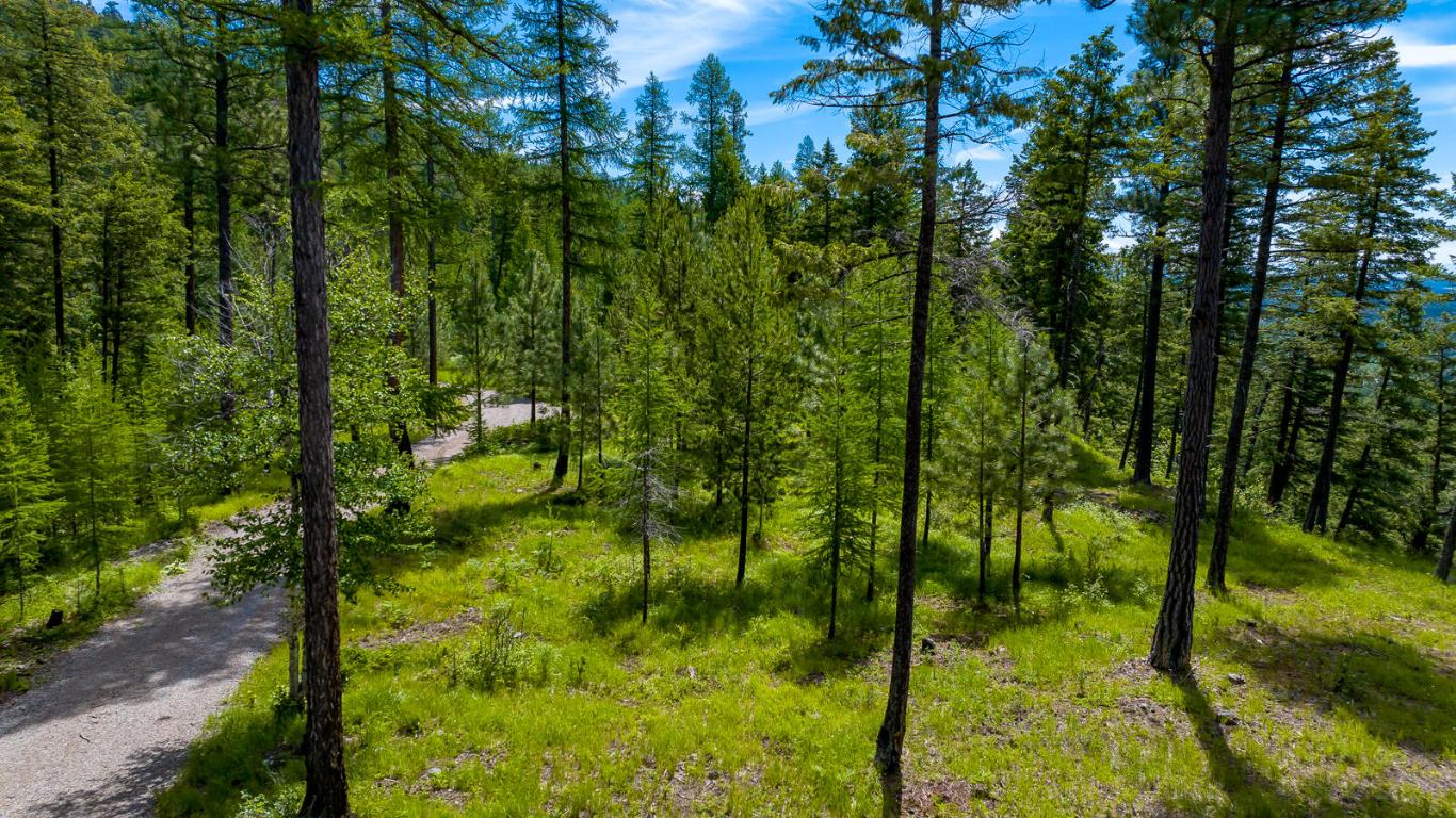 362 Mule Deer Trail Property Photo 11