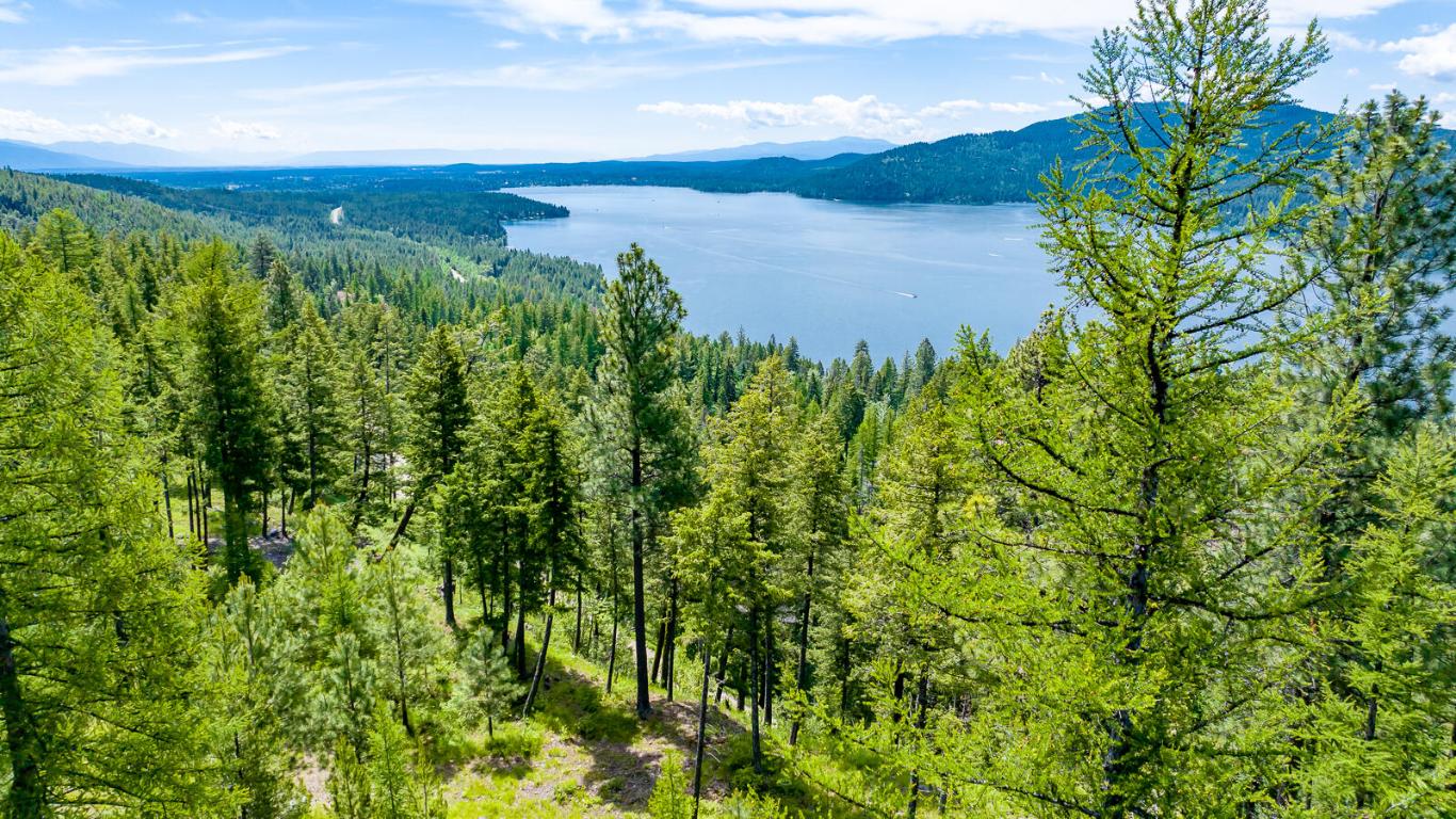 362 Mule Deer Trail Property Photo 15