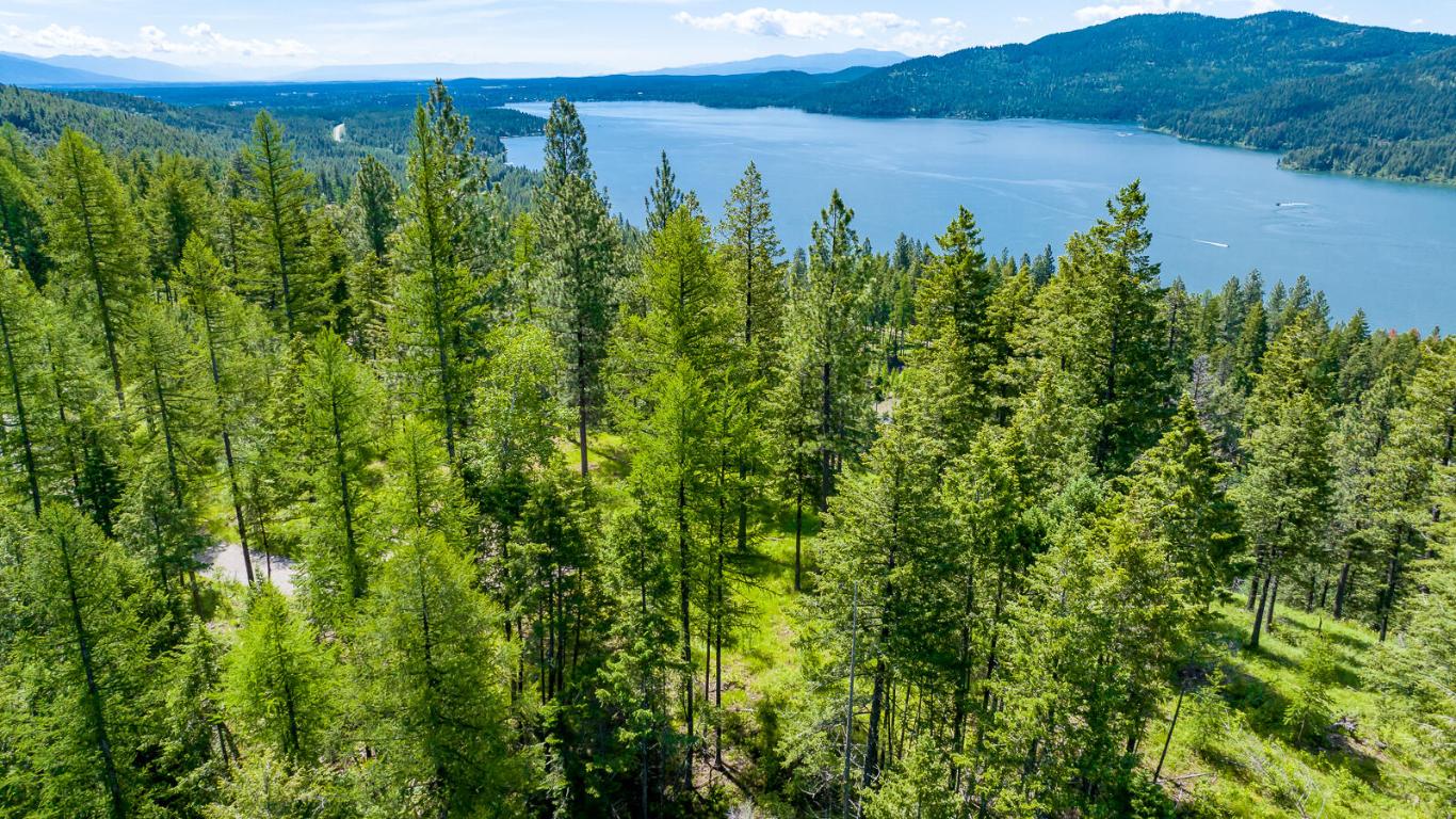 362 Mule Deer Trail Property Photo 38