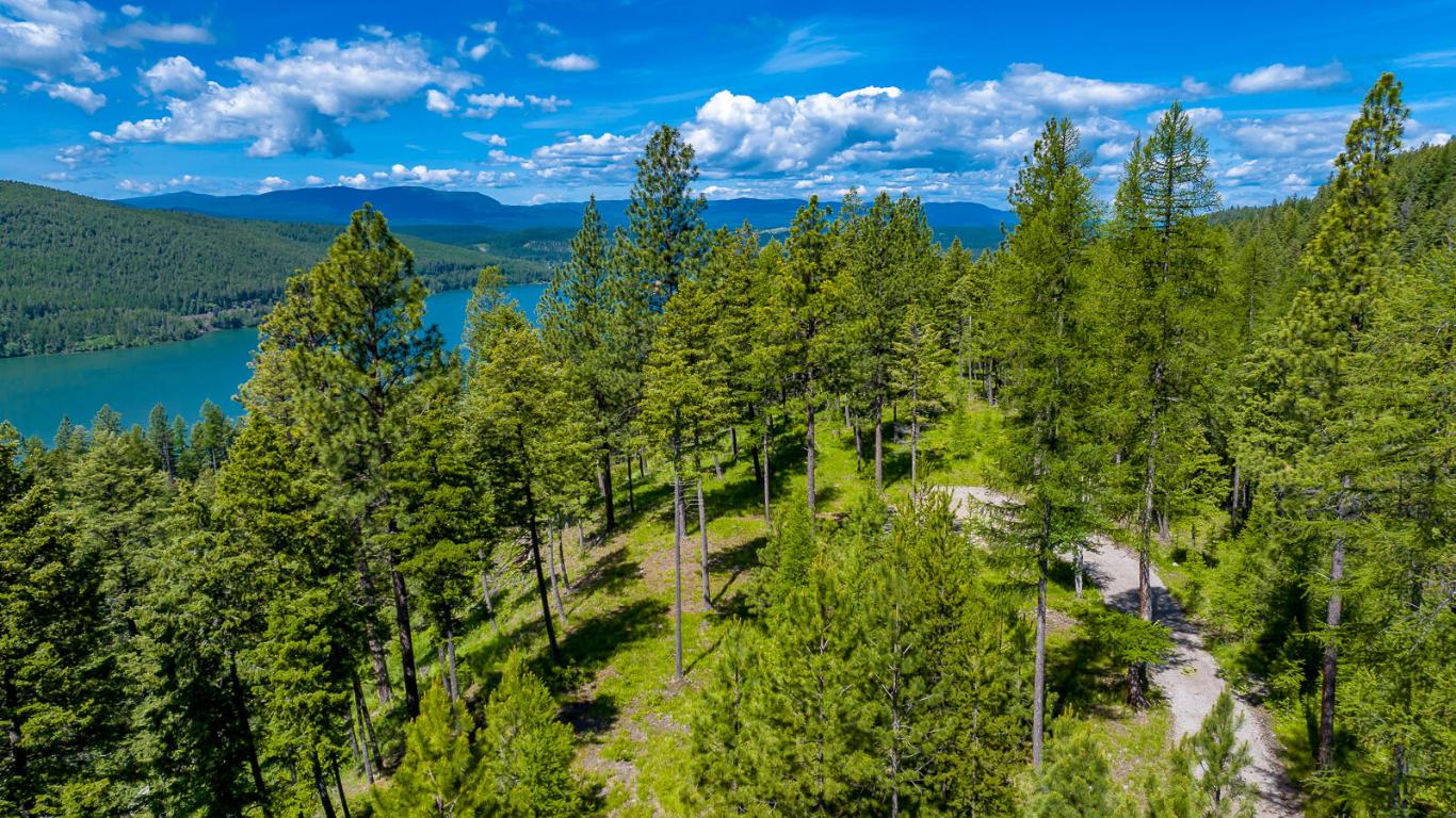 362 Mule Deer Trail Property Photo 42