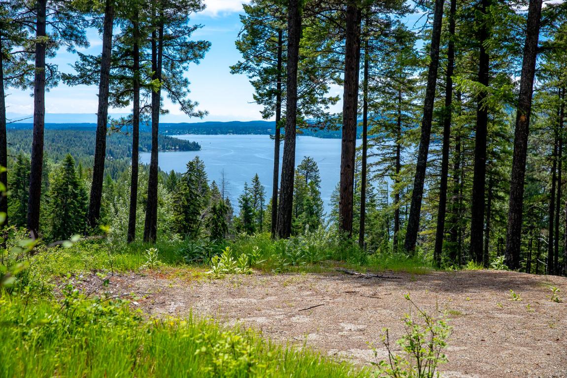 362 Mule Deer Trail Property Photo 45