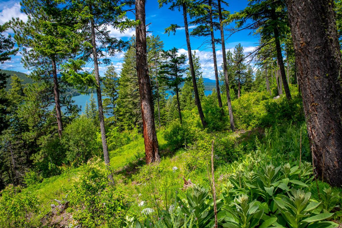 362 Mule Deer Trail Property Photo 46