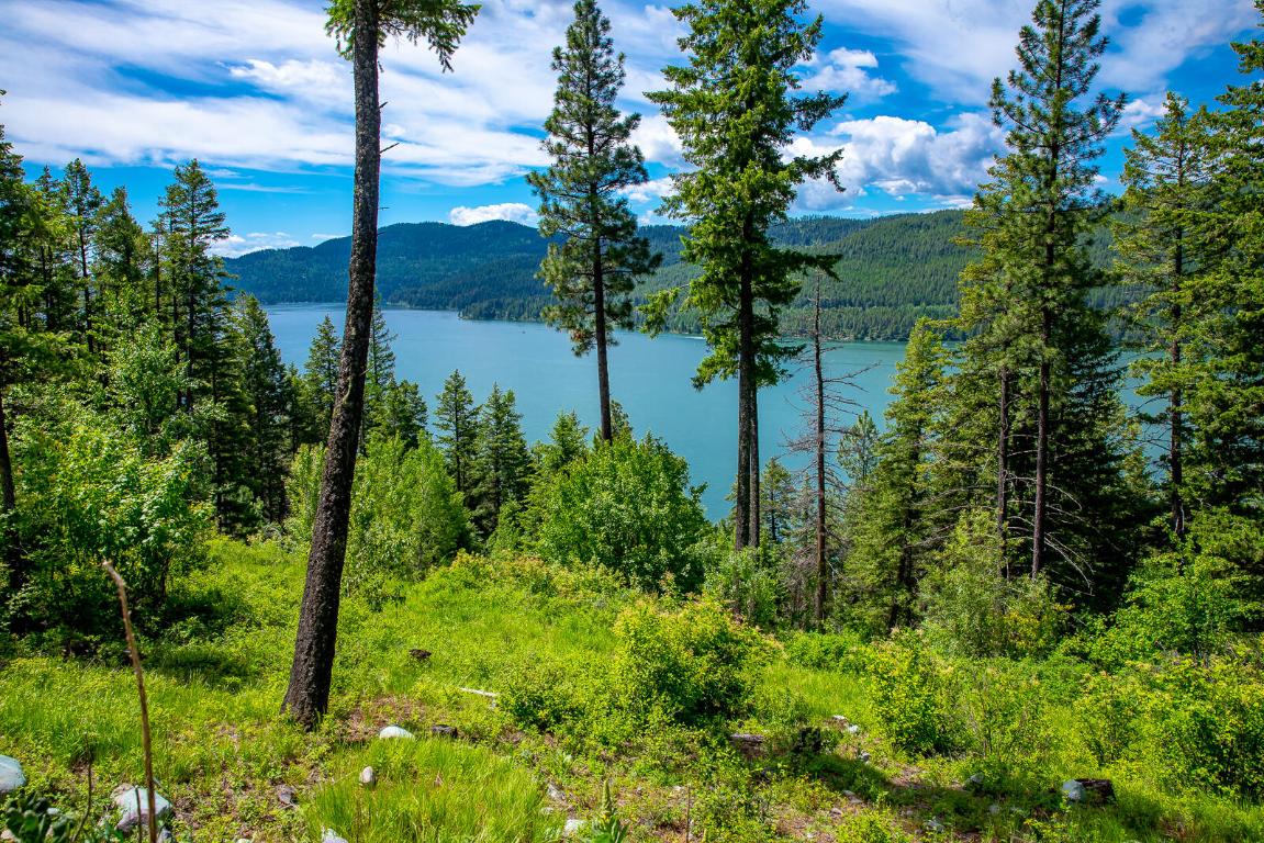 362 Mule Deer Trail Property Photo 47