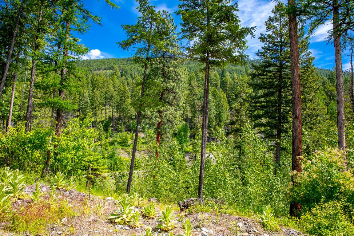 362 Mule Deer Trail Property Photo 49