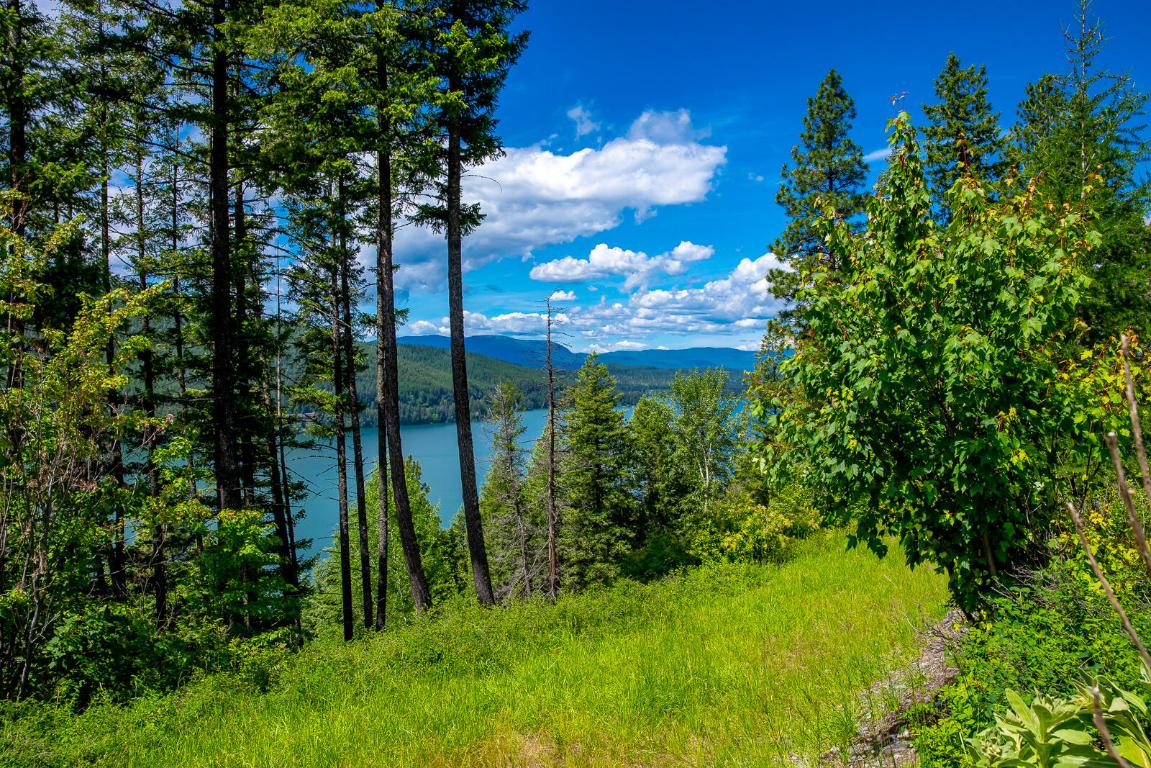 362 Mule Deer Trail Property Photo 50