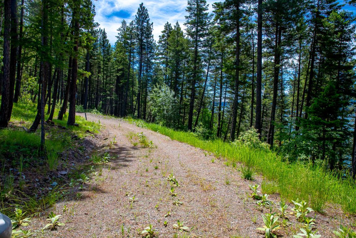 362 Mule Deer Trail Property Photo 51