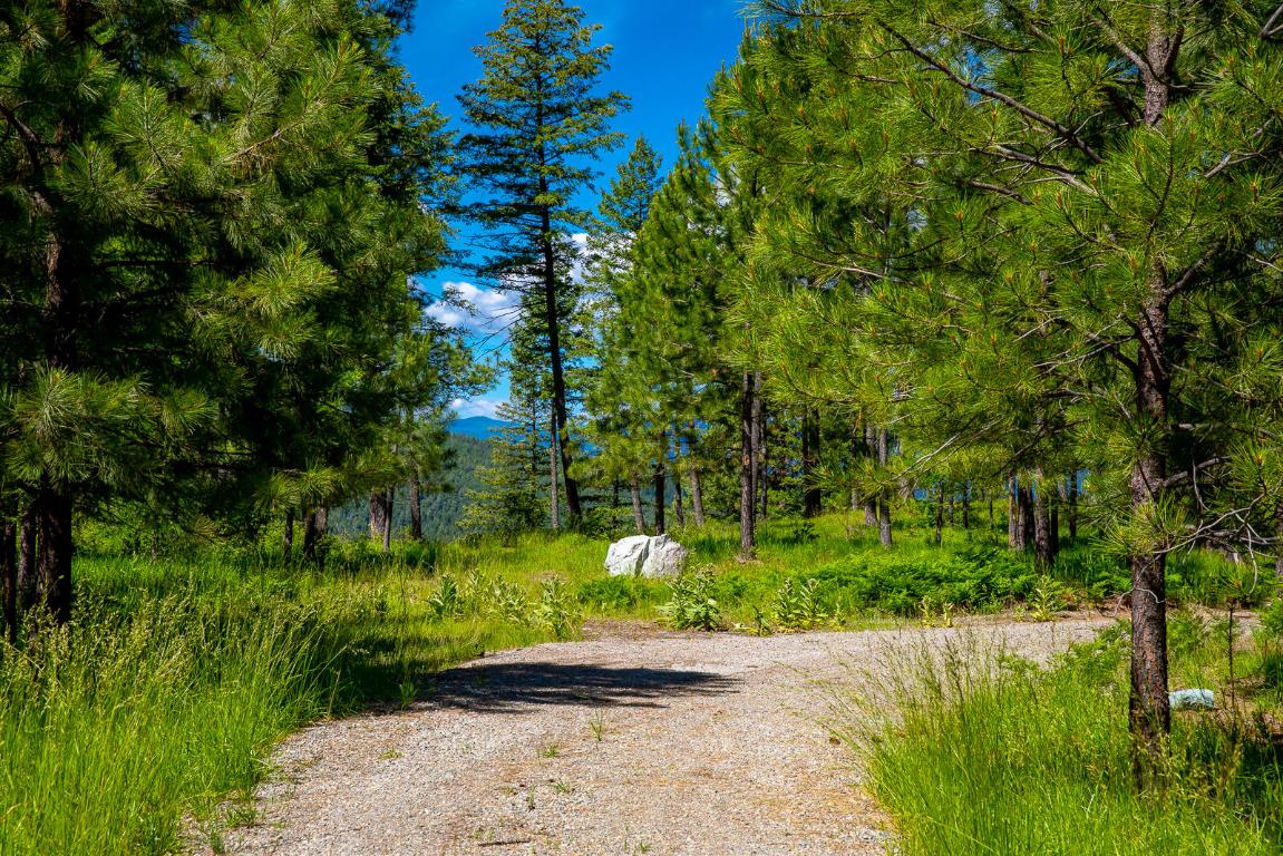362 Mule Deer Trail Property Photo 52