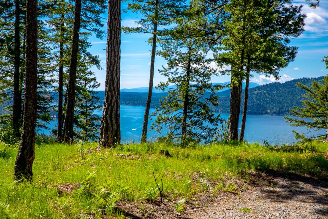 362 Mule Deer Trail Property Photo 53