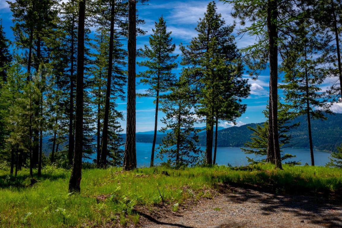 362 Mule Deer Trail Property Photo 54