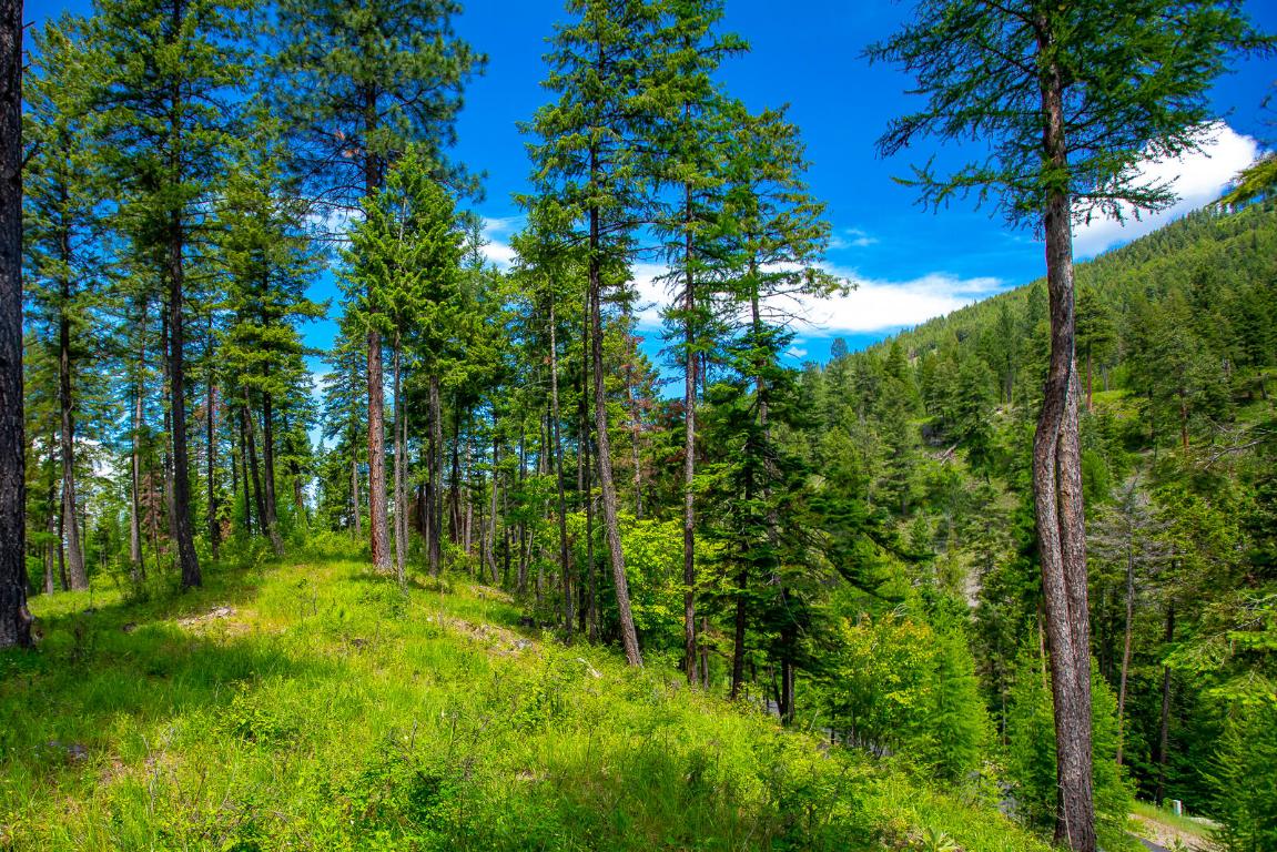 362 Mule Deer Trail Property Photo 57
