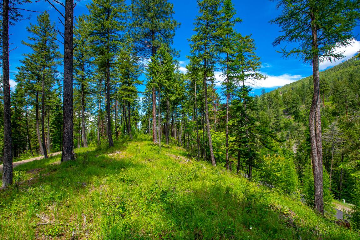 362 Mule Deer Trail Property Photo 58