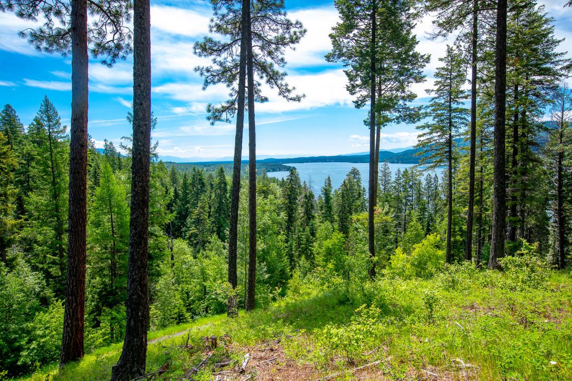 362 Mule Deer Trail Property Photo 61