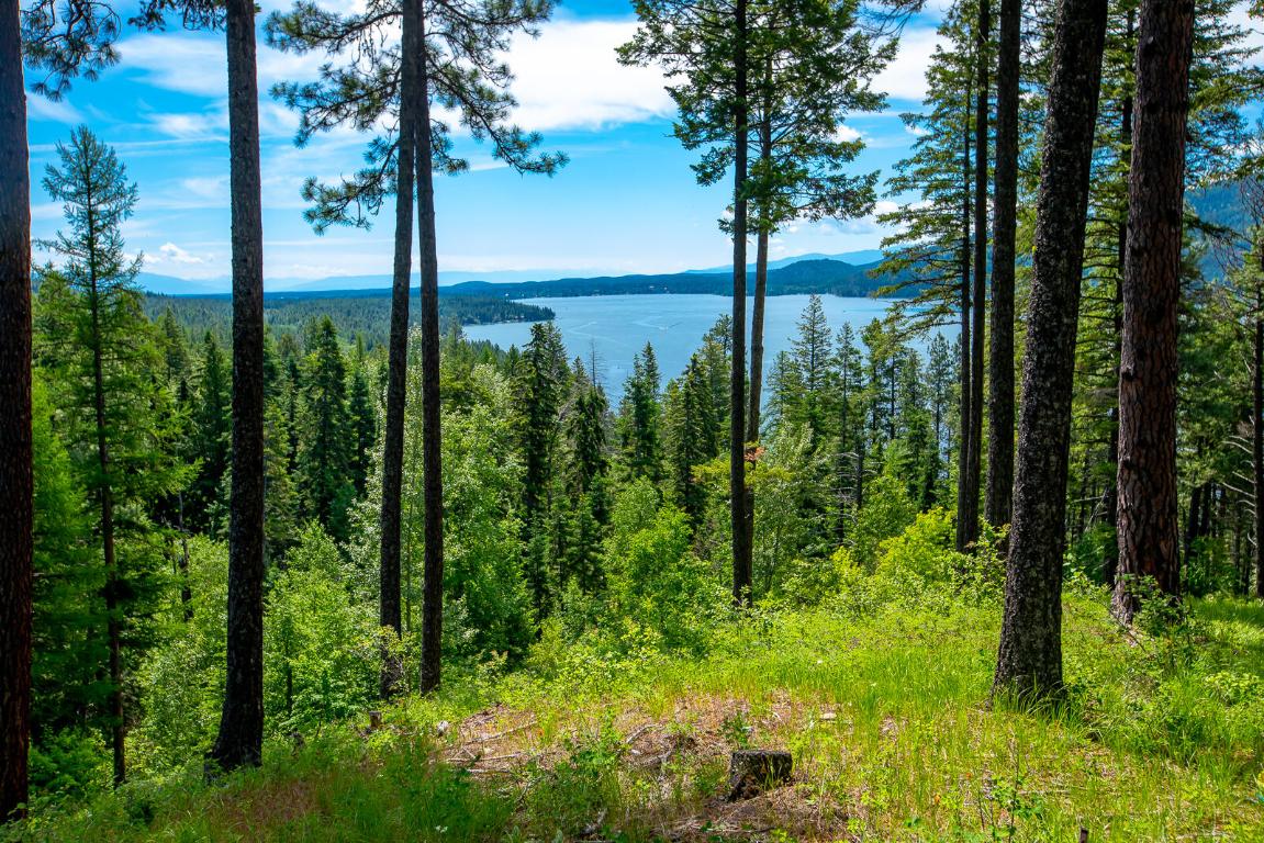 362 Mule Deer Trail Property Photo 62