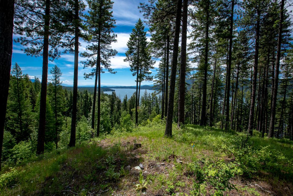 362 Mule Deer Trail Property Photo 63