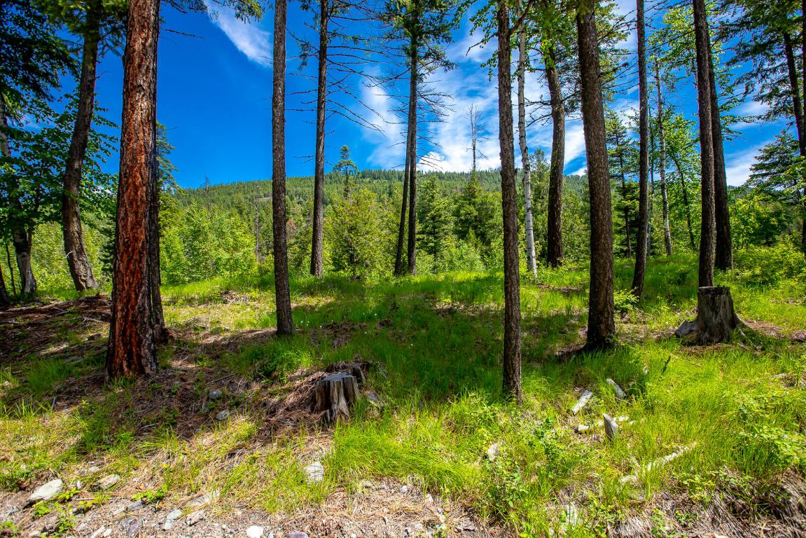 362 Mule Deer Trail Property Photo 68