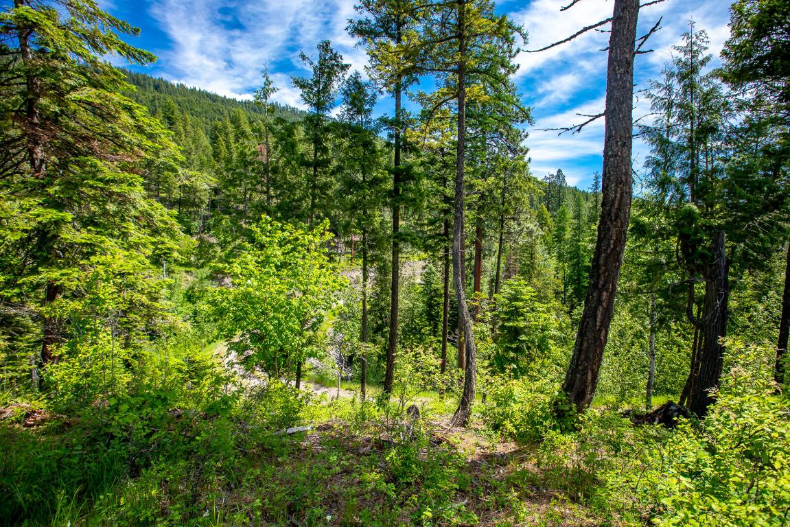 362 Mule Deer Trail Property Photo 69