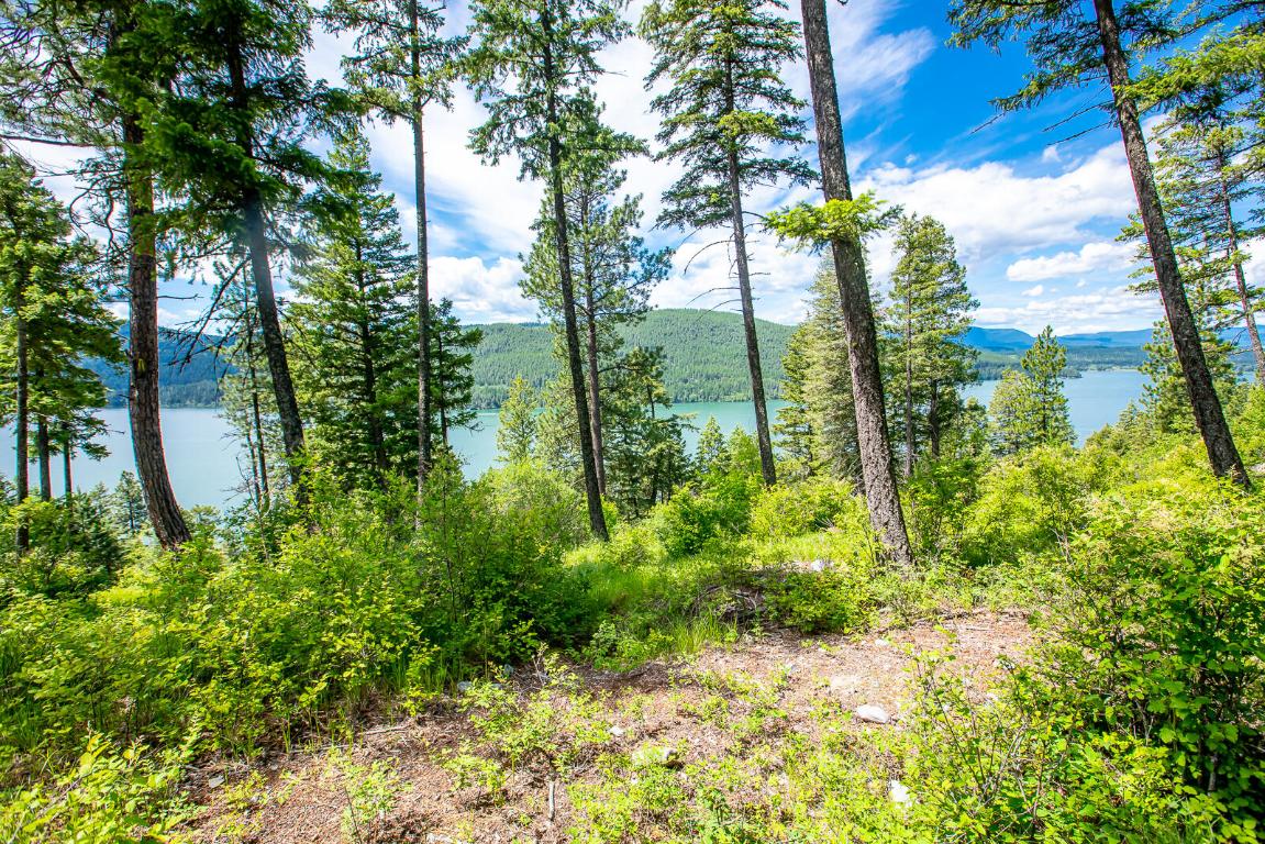 362 Mule Deer Trail Property Photo 71