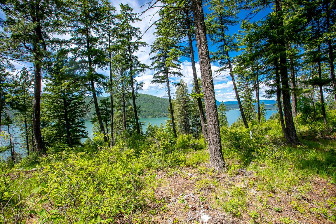 362 Mule Deer Trail Property Photo 73