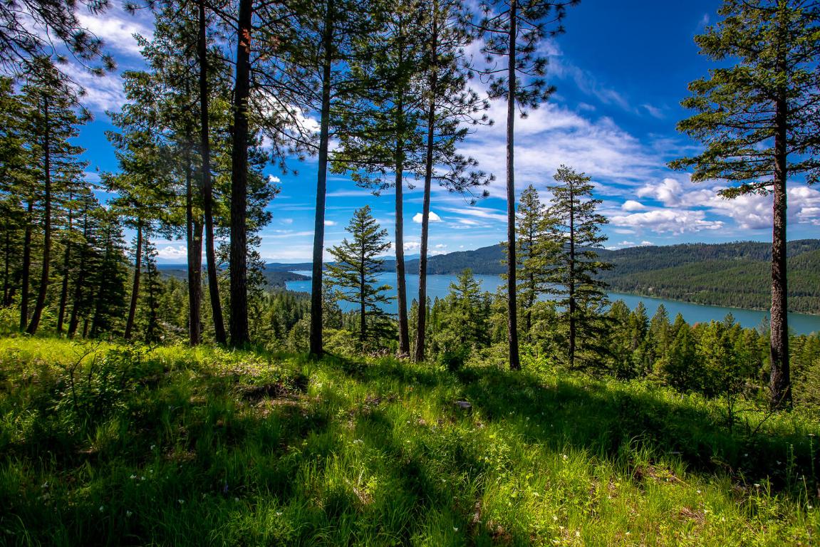 362 Mule Deer Trail Property Photo 78