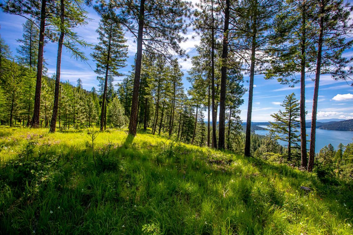 362 Mule Deer Trail Property Photo 80
