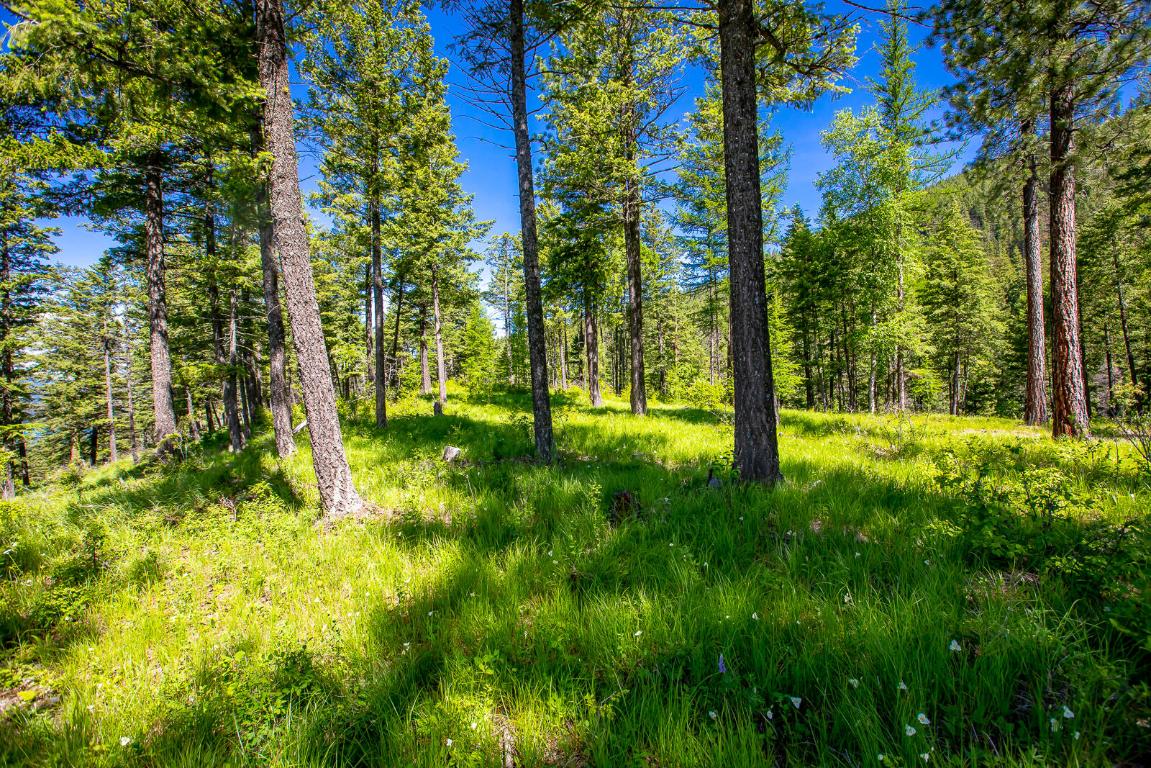 362 Mule Deer Trail Property Photo 81