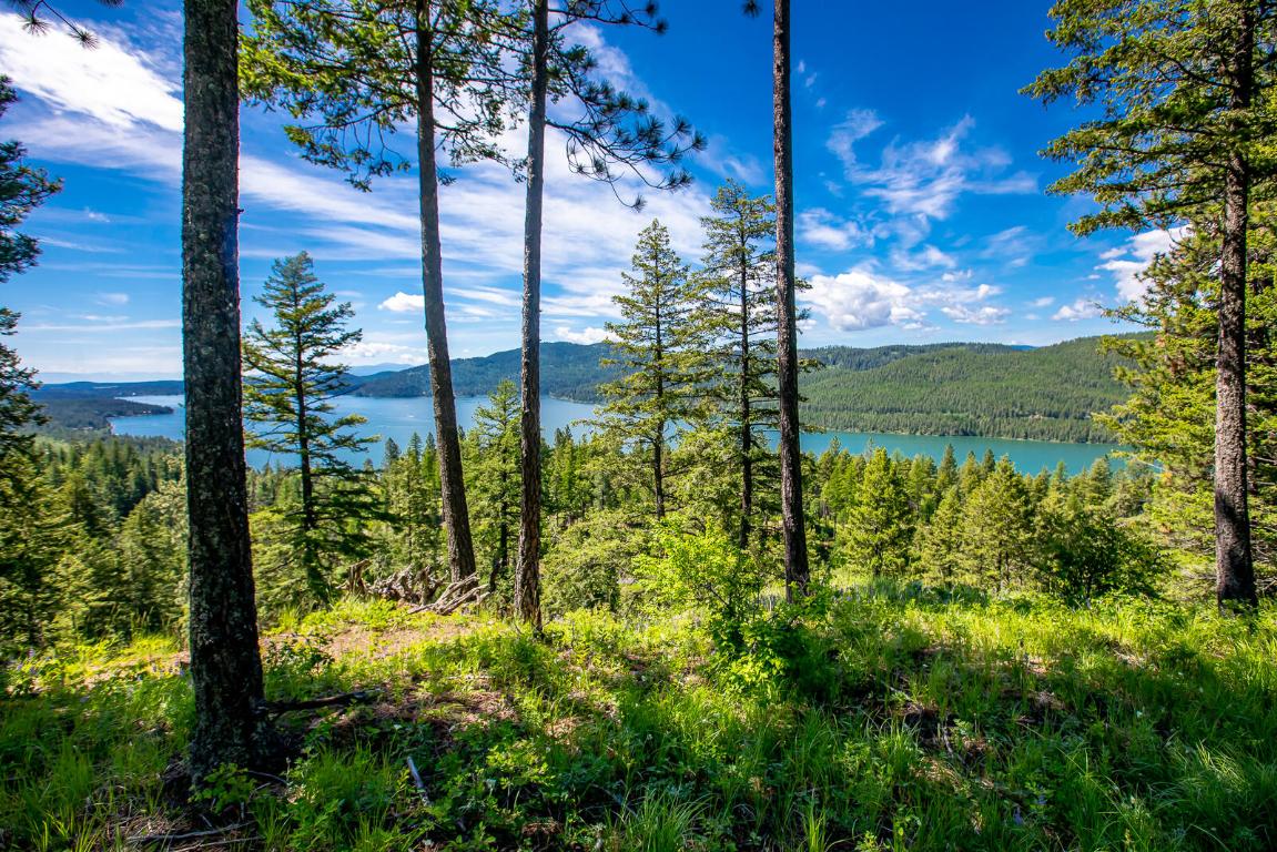 362 Mule Deer Trail Property Photo 82