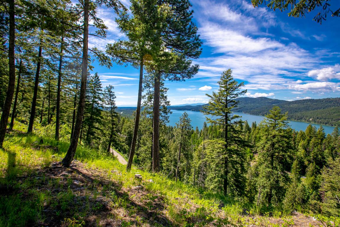 362 Mule Deer Trail Property Photo 84