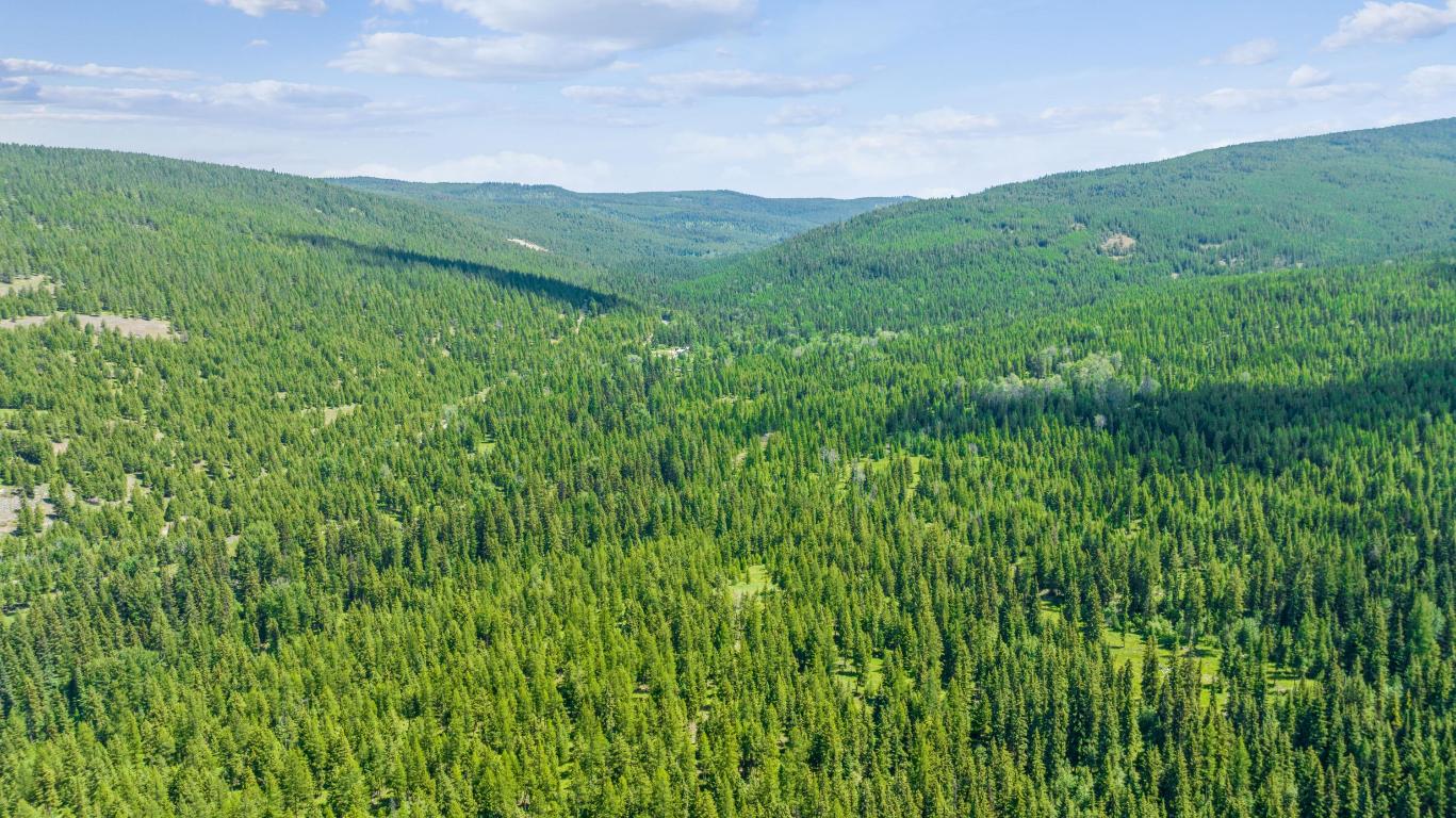 Nhn Pinkham Creek Road Property Photo