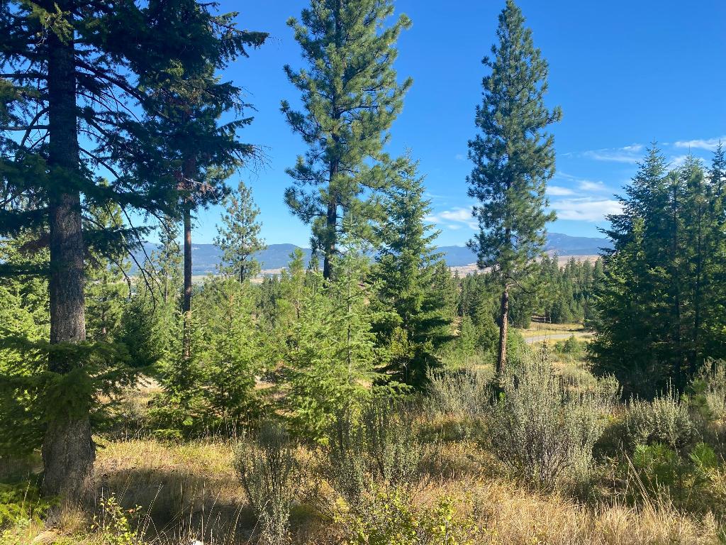 Lot 40 Bighorn Bluff Loop Property Photo 2