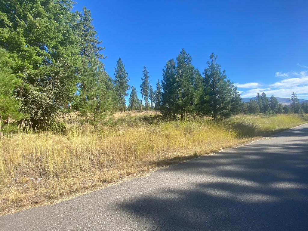 Lot 40 Bighorn Bluff Loop Property Photo 4