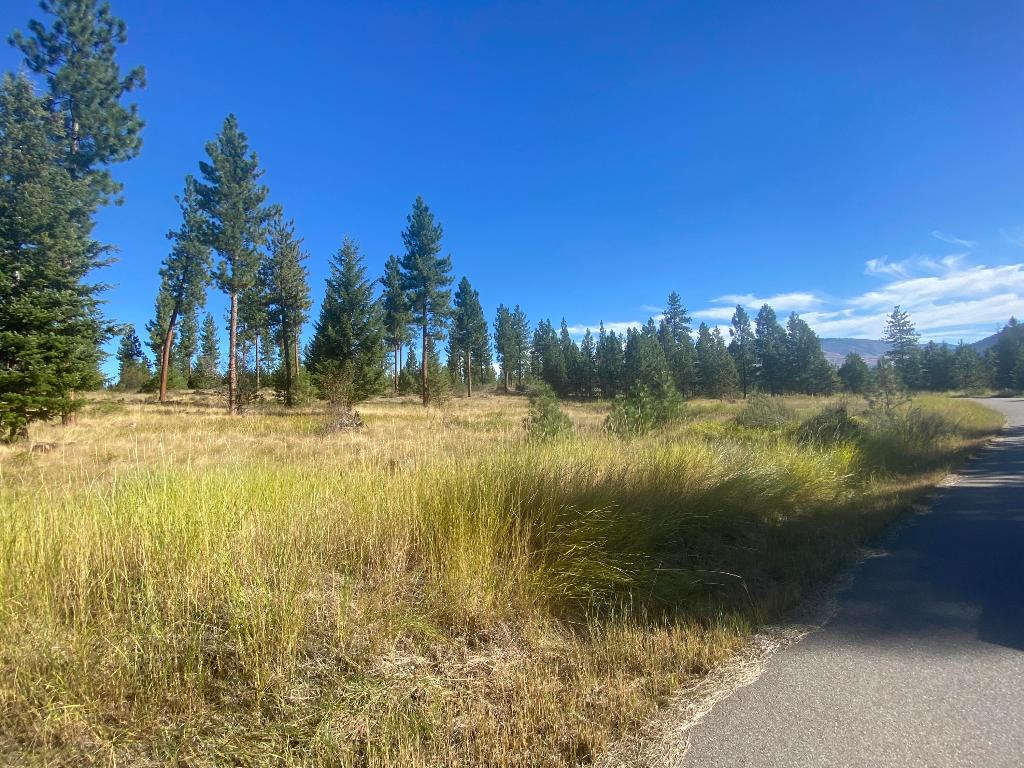 Lot 40 Bighorn Bluff Loop Property Photo 5