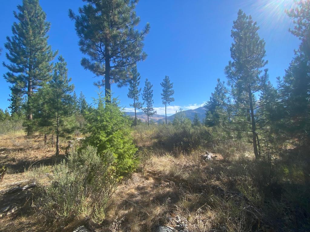 Lot 40 Bighorn Bluff Loop Property Photo 6