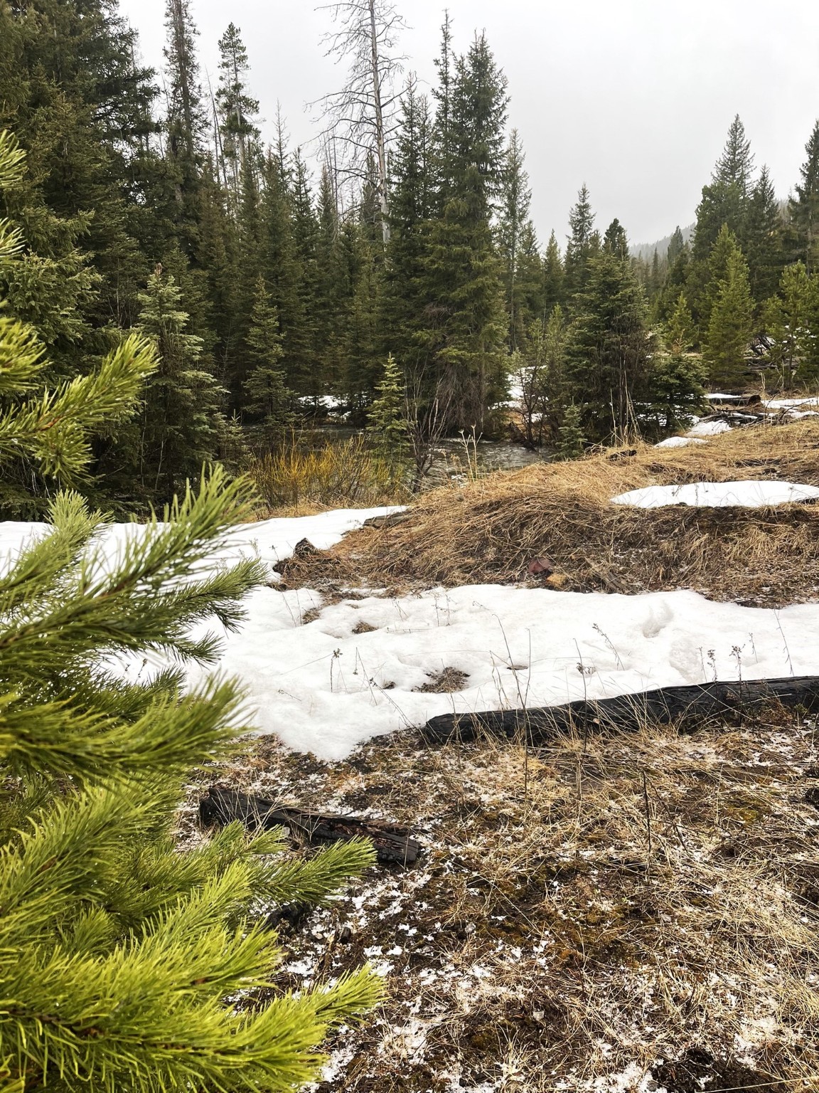 Tbd Cataract Creek Road Property Photo