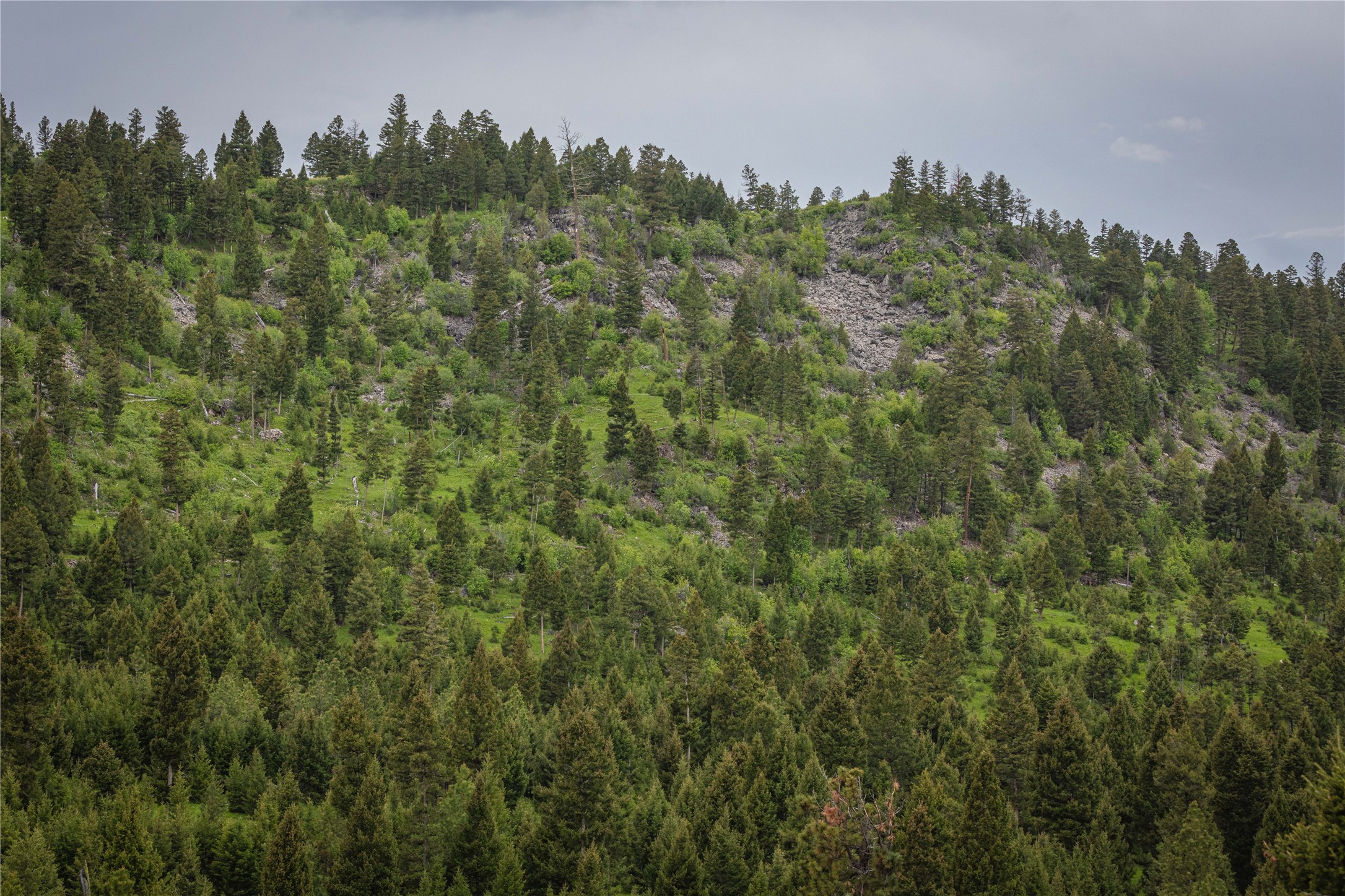 10 & 11 Tract, Bull Elk Property Photo