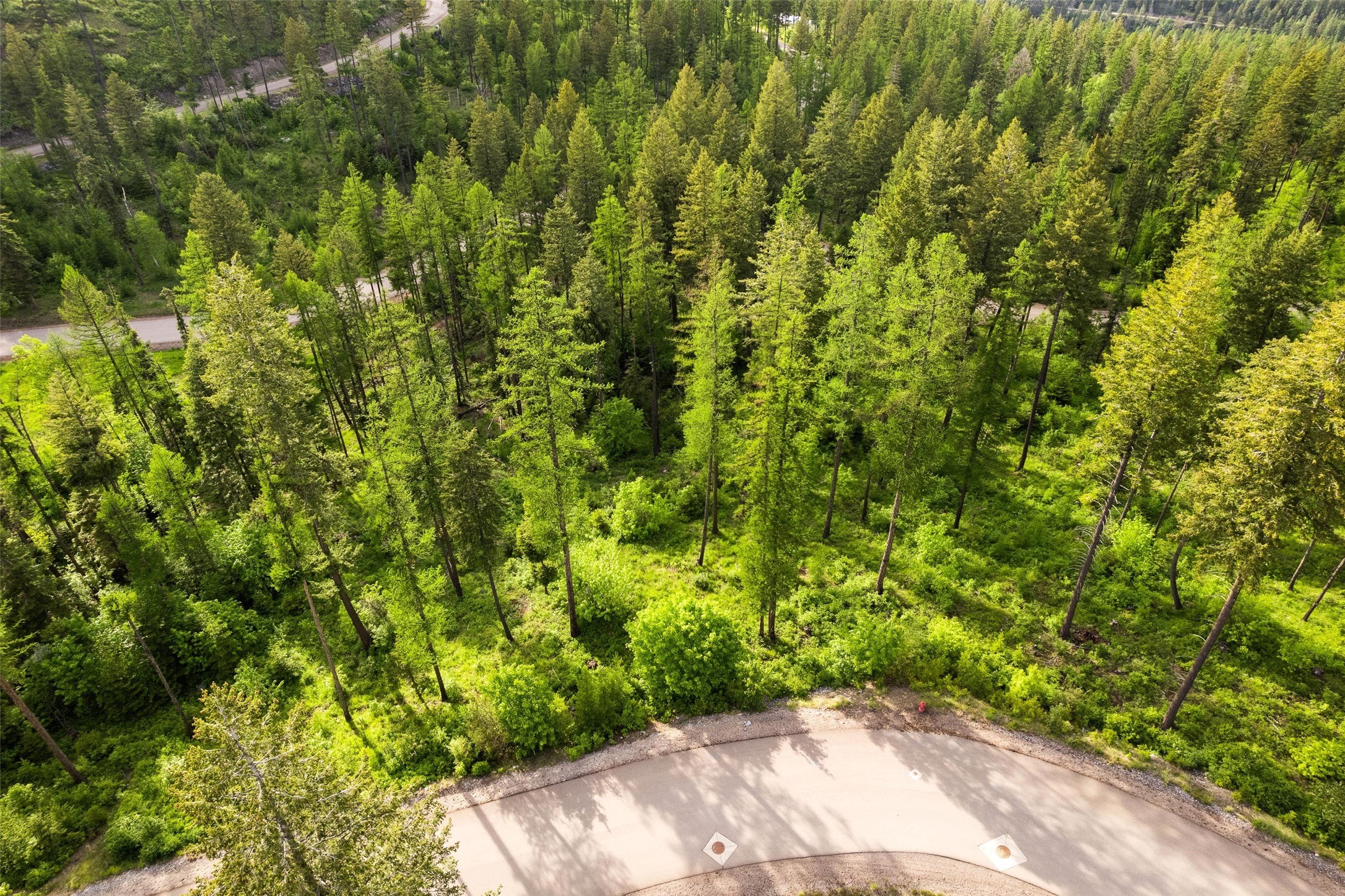 589 Saddlehorn Trail Property Photo 20