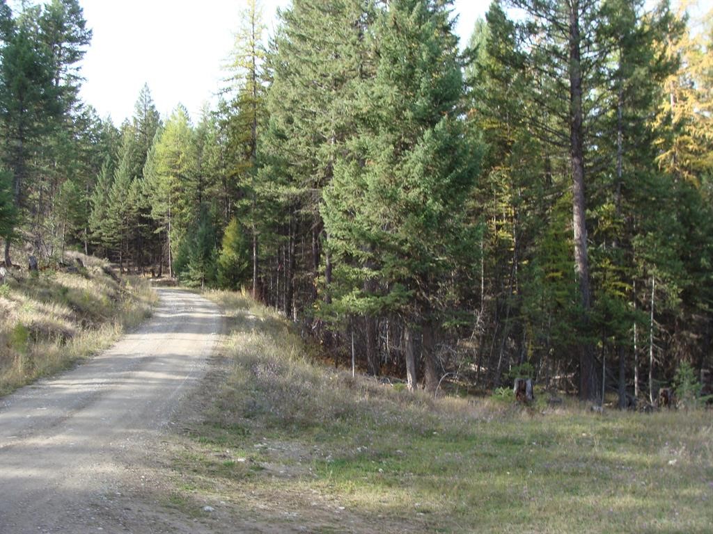 Lot 8 Whispering Pines Subdivision Property Photo